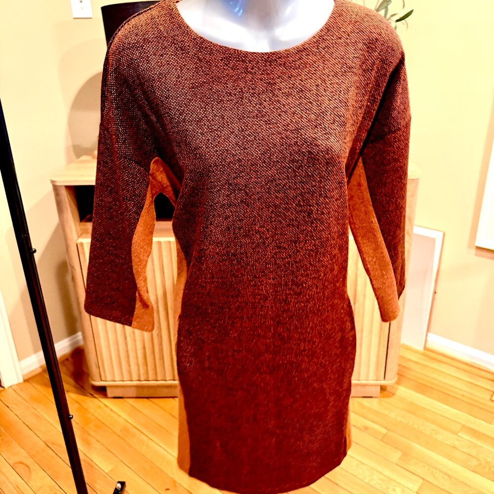 Two-tone Papillon Winter/Fall Shift Dress